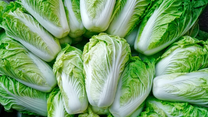 Napa cabbage nutrition facts